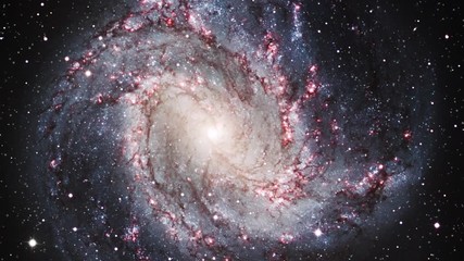 Wall Mural - Spiral galaxy rotating in outer space Messier 83 on moving star field. Contains public domain image by NASA
