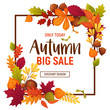Autumn sale poster