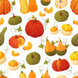 Colorful pumpkin pattern