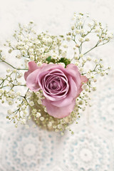 beautiful lavender color rose with gypsophilla -top view