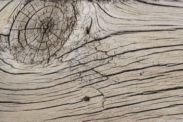 Weathered, pine, decking plank with a knot showing.