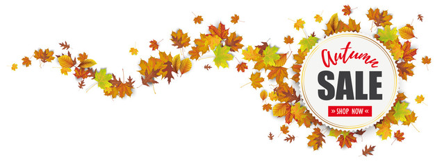 Wall Mural - paper emblem autumn sale foliage wave header