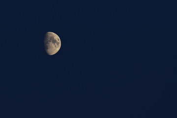 the moon on navy blue sky.