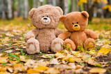 Fototapeta  - Two Teddy bear toys on autumn natural background

