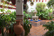 Detalle de típico patio andaluz con fuente de agua en el centro y decorado con diferentes tipos de plantas y macetas. Córdoba, Andalucía, España. Viajes y turismo.
