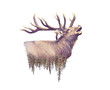 Elk and Forest. Watercolor Double Exposure effect