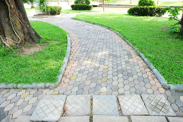 Stone walkway with green grass and tree in the garden at public park.