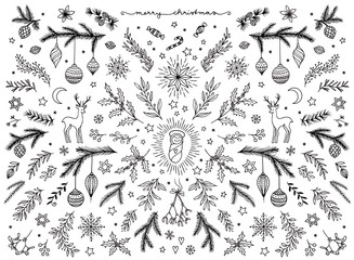 Hand sketched floral design elements for Christmas