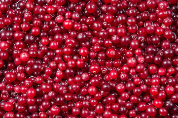 Wall Mural - Cranberry. Cranberry background. Cranberries in water. Food background.