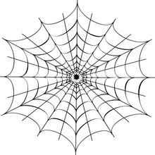 Decorative Spider Web