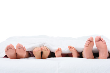 family feet in bed under white blanket, isolated on white