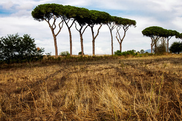 Park of the Aqueducts 3