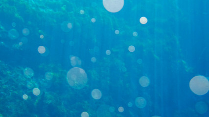 bright blue background of water with lens flares