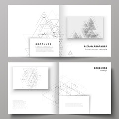 The vector illustration of layout of two covers templates for square design bifold brochure, magazine, flyer. Polygonal background with triangles, connecting dots and lines. Connection structure.