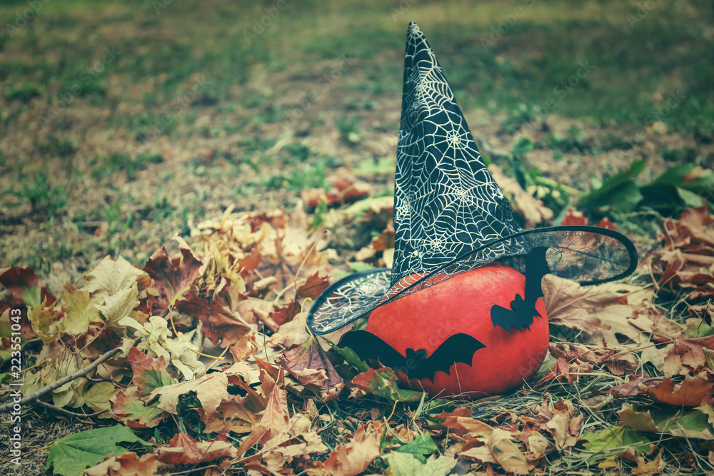 Halloween pumpkin with witch hat in autumn park