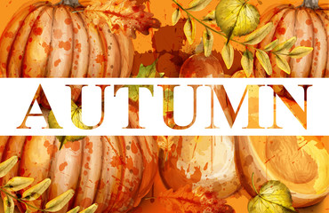 Wall Mural - Pumpkin watercolor autumn banner Vector. Fall season painted style illustrations