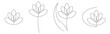 Flower lotus continuous line vector illustration set with editable stroke for floral design or logo.