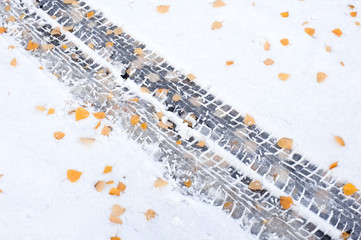 Car tire tracks and yellow autumn leaves in snow.