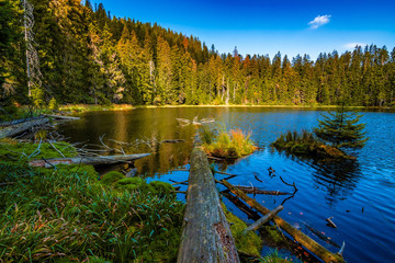 The wild sea in the Black Forest / Schwarzwald, Germany.