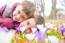 Children Admire The Blossoming Crocuses. Two Cute Boys Cuddling On The Flower Meadow 