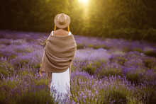 Rear View Of Woman Standing In Lavender Flowers Field During Sunset