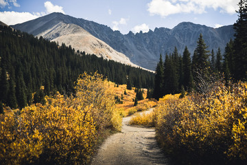 A mountain path surrounded by fall colors. 