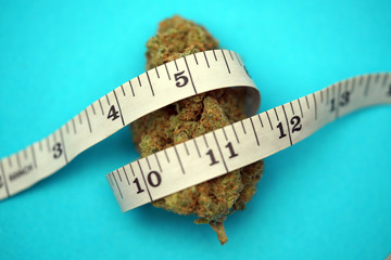 Using Medical Cannabis To Treat Diabetes and For Weight Loss