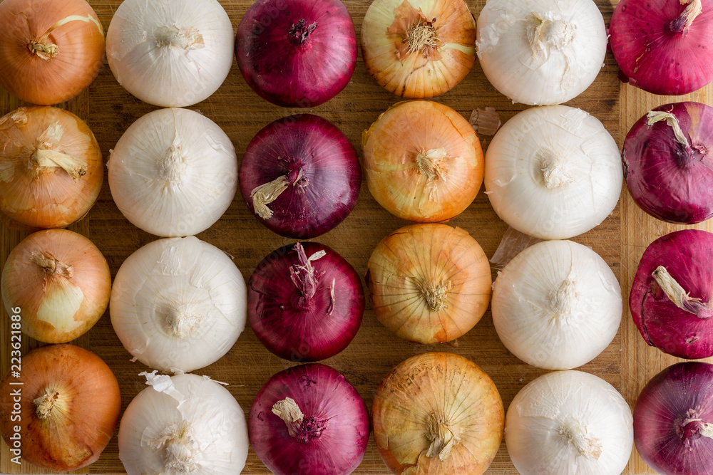 Neat alternating rows of different colored onions - obrazy, fototapety, plakaty 