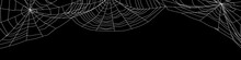 Large White Spider Web On Black - 3d Render