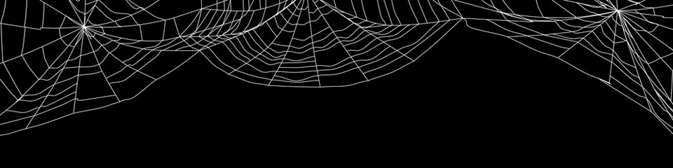 Wall Mural - large white spider web on black - 3d render