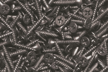 Canvas Print - Black self-tapping screw. Screws for construction work.