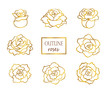 Vector set of outline golden roses, side and top view