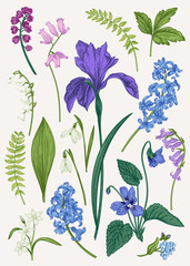 Wall Mural - Set with spring flowers.