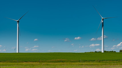 Windfarm