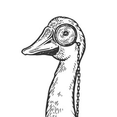 Goose bird witn monocle engraving vector illustration. Scratch board style imitation. Black and white hand drawn image.