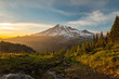 Mount Rainier Hiking at Sunset