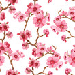 Seamles pattern with sakura