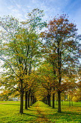 autumn in the park