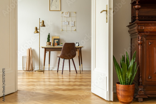 Green Plant By White Door Into A Freelancer S Home Office