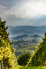 Austria Vineyards Sulztal an der Weinstrasse south Styria , wine country tourist spot.