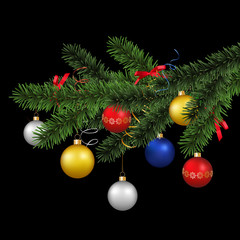 Wall Mural - vector realistic christmas coniferous tree branch decorated with baubles and ribbons on black backgr