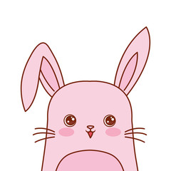 Sticker - cute rabbit portrait cartoon wildlife