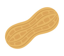 Tasty Peanut Isolated On White Background, Flat Style Vector Illustration.