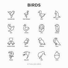 Birds Thin Line Icons Set: Dove, Owl, Penguin, Sparrow, Swallow, Kiwi, Parrot, Eagle, Humming Bird, Pink Flamingo. Modern Vector Illustration.