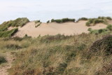 Fototapeta Sawanna - sand dunes at the beach