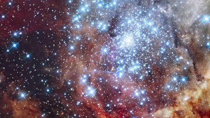 Wall Mural - Tarantula nebula star field also know 30 doradus mergin cluster flare light. Contains public domain image by NASA
