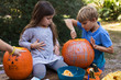 © Kinzie+Riehm - Siblings making jack-o-lanterns out of pumpkins.