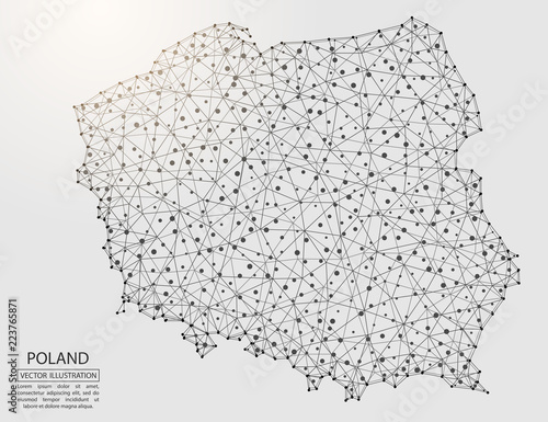 Dekoracja na wymiar  mapa-polski-skladajaca-sie-z-trojkatow-3d-linii-punktow-i-polaczen-ilustracja-wektorowa