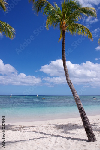 Plage De Flic En Flac à Lîle Maurice Buy This Stock Photo