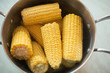 farm fresh boiled corn in a pot